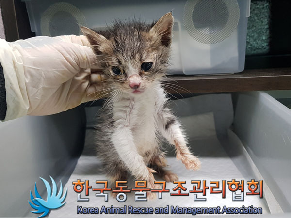 종료(자연사) 한국…